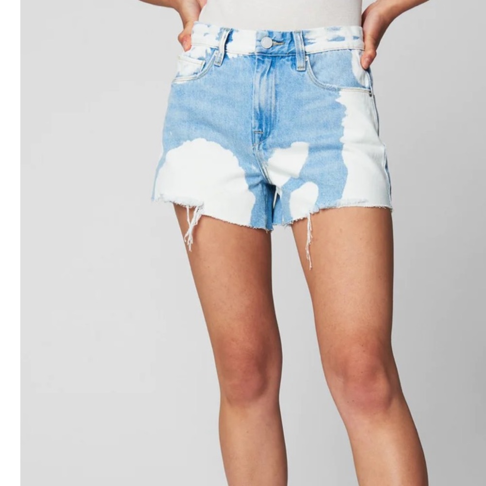 BlankNYC Sunday Funday Vintage High Rise Shorts, size 25